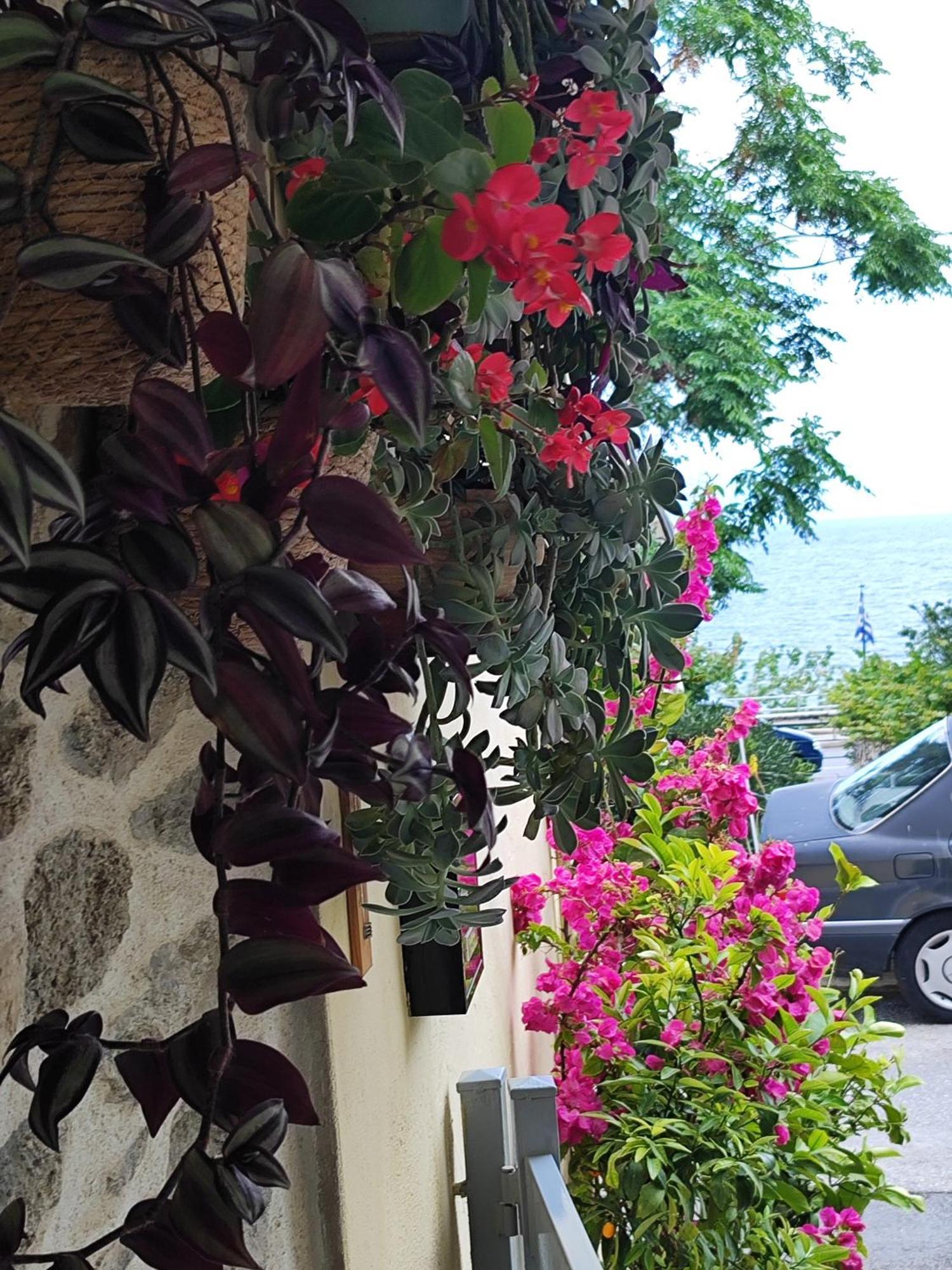 Margarita'S House 2 Apartment Kavala Exterior photo